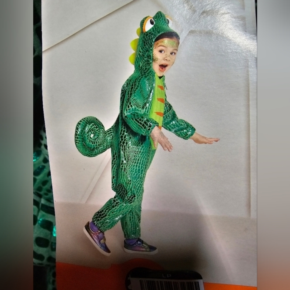 Baby Chameleon Halloween Costume 18-24 months